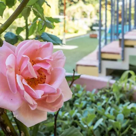 Apartamento R37 - Casa Tamarina . *