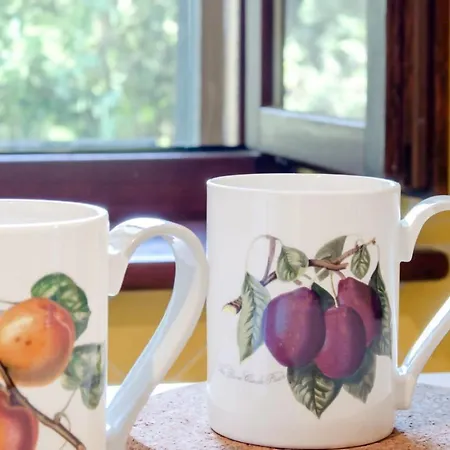 R37 - Casa Tamarina . *